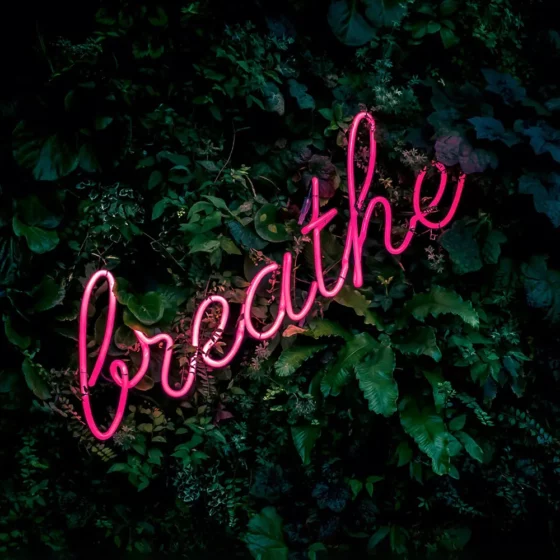 Pourquoi la respiration est la clé de votre équilibre mental et physique