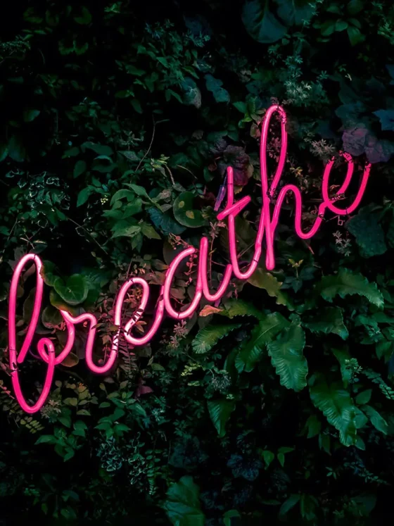 Pourquoi la respiration est la clé de votre équilibre mental et physique
