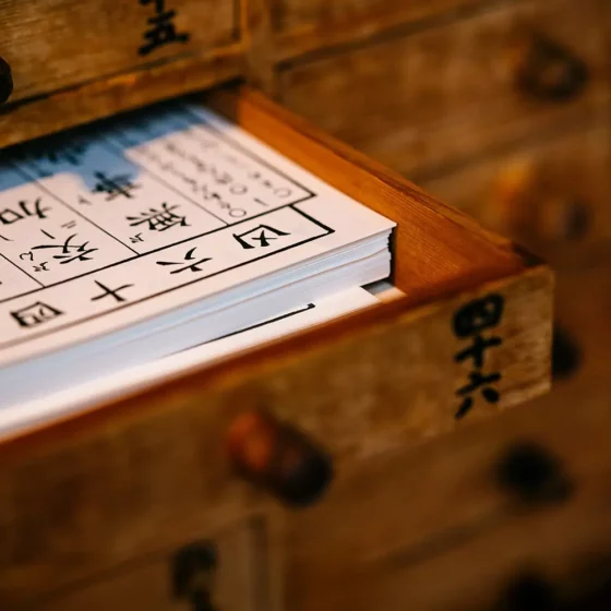 Médecine traditionnelle chinoise vs médecine occidentale : deux visions complémentaires de la santé